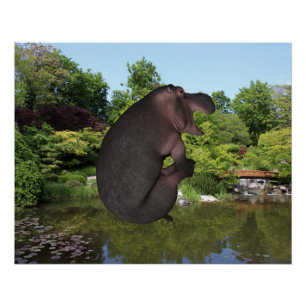 Póster Cannonball Hippo