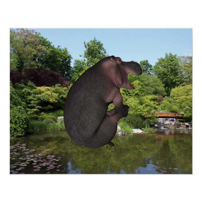 Póster Cannonball Hippo (Anverso)