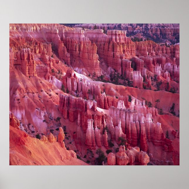 Póster Cañón Bryce, Utah, EE. UU. (Frente)