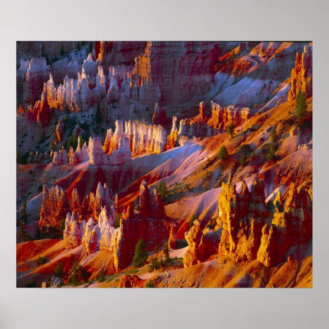 Póster Cañón Bryce, Utah, Estados Unidos 2 (Frente)