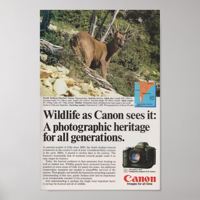 Póster Canon camera 1980s advertisement retro antique (Frente)