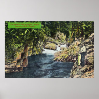 Póster Cañón Capilano vista de la piscina de salmón