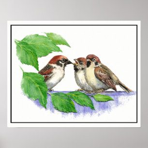 Póster Cañón de canto, pájaro, jardín, naturaleza animal