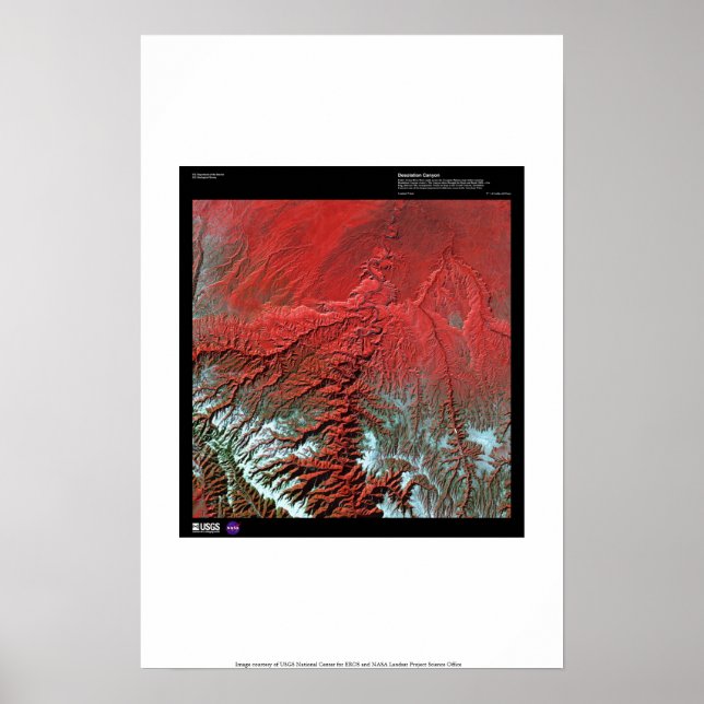 Póster Cañón de desolación Utah (Frente)