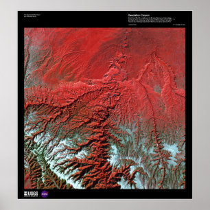 Póster Cañón de desolación Utah