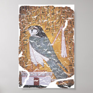 Póster Cañón de Falcon