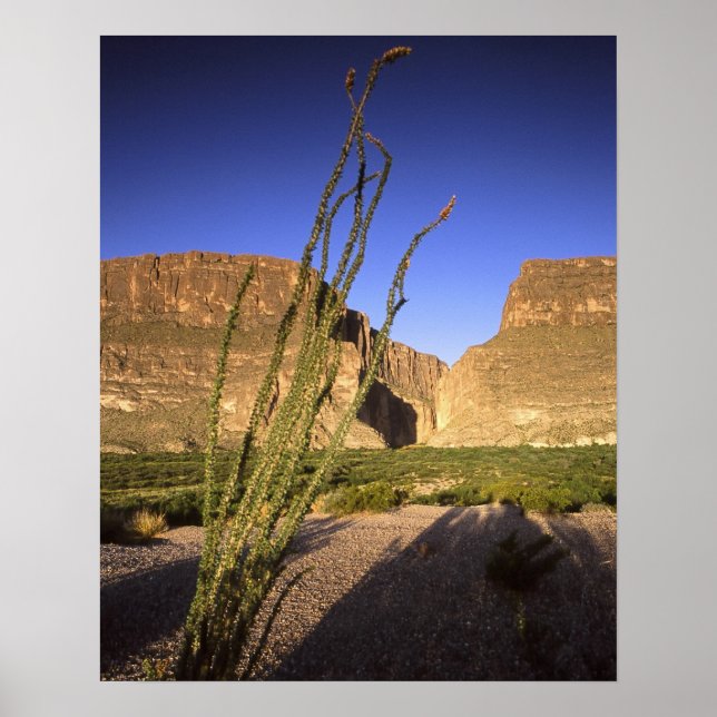 Póster Cañón de Santa Elena (Frente)