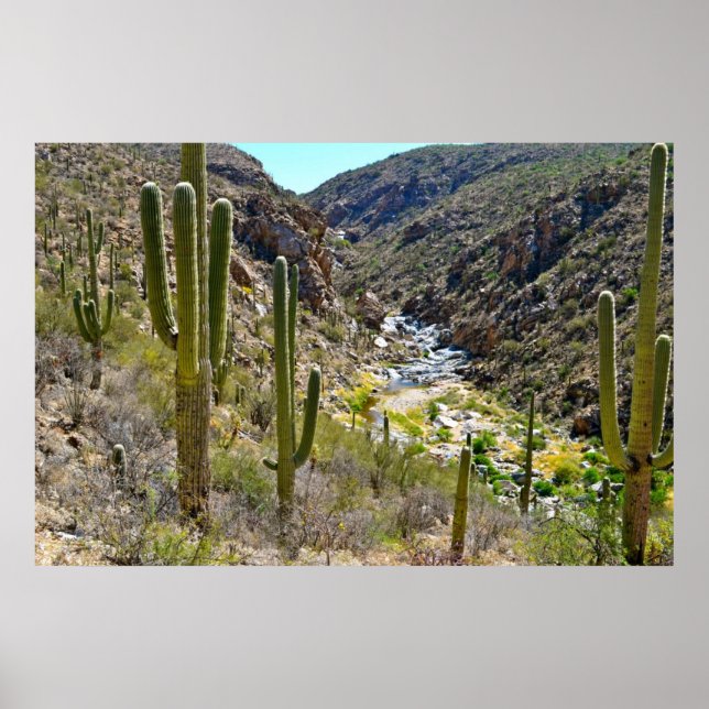 Póster Cañón del desierto (Frente)