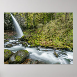 Póster Cañón del río Columbia, Ponytail Falls