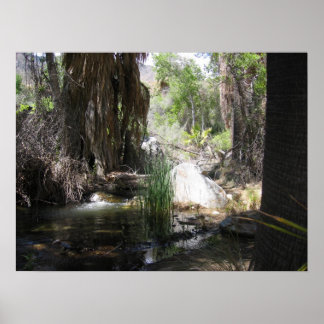 Póster Cañón indio (2)