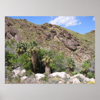 Póster Cañón indio (8)