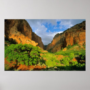Póster Cañón Kolob en el Cañón Zion en el National de Zio