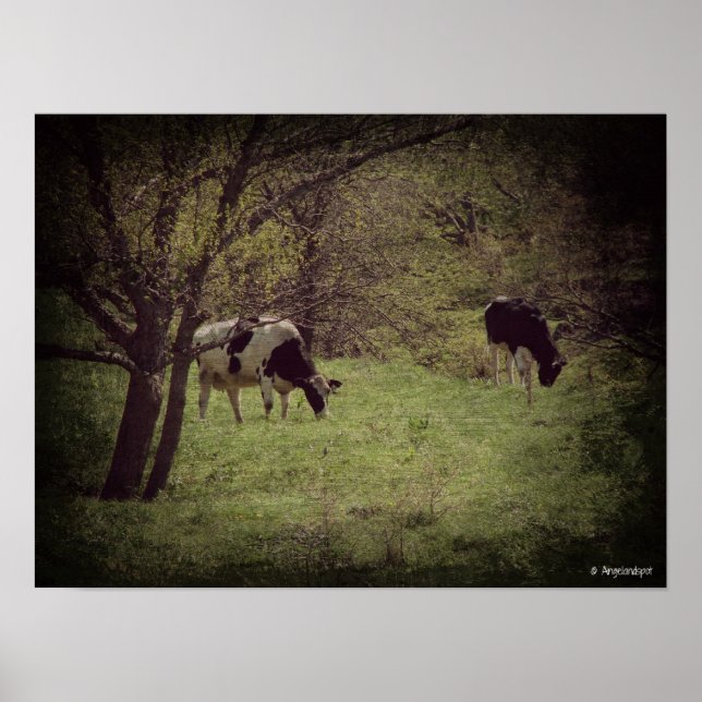 Póster Cañón lechero Kalona (Frente)