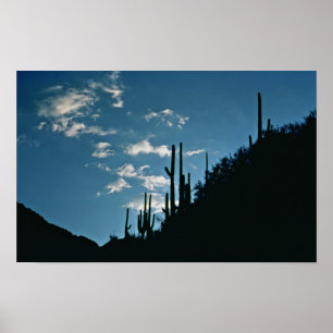 Póster Cañón Sabino, Arizona