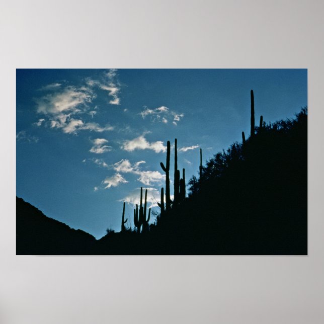 Póster Cañón Sabino, Arizona (Frente)