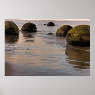 Póster Cañones de Moeraki en la playa