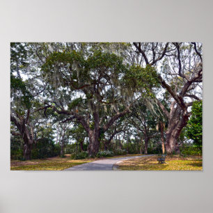 Póster Cañones Dueling, Charles Town Landing, S.C.