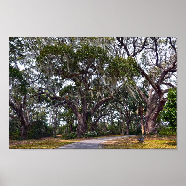 Póster Cañones Dueling, Charles Town Landing, S.C. (Frente)