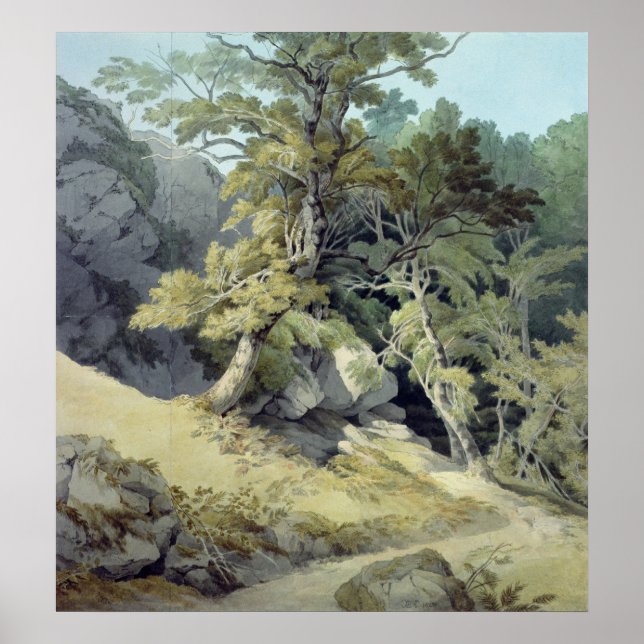 Póster Canontés, Devon (Frente)