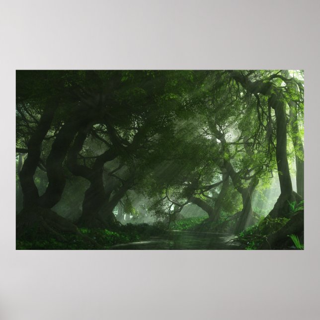 Póster Canopy Creek (Frente)