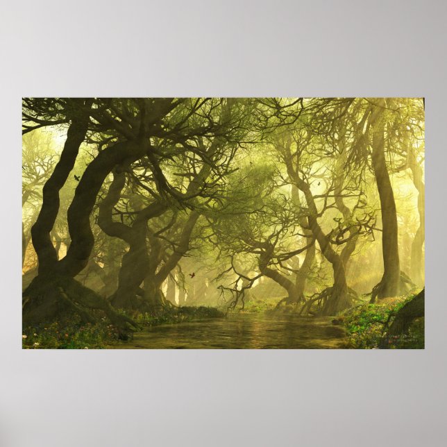 Póster Canopy Creek Spring (Frente)