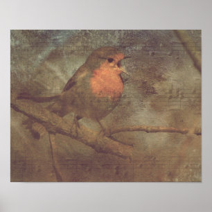 Póster Cantar una canción