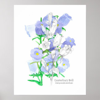 Póster Canterbury Bells Lenguaje de flores victoriano