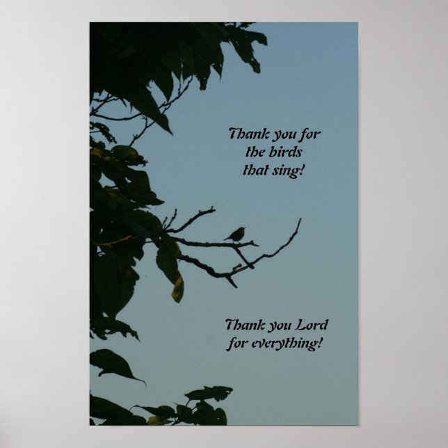Póster ¡Canto de pájaro, gracias Señor! poster (Frente)