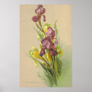 Póster Canvas de reproducción de litho de Catherine Klein