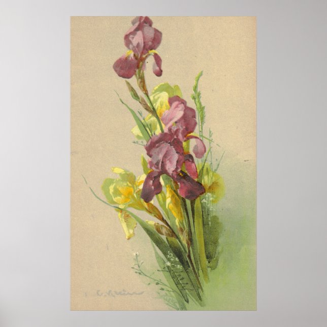 Póster Canvas de reproducción de litho de Catherine Klein (Frente)