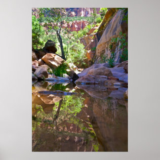 Póster Canyon Mirror