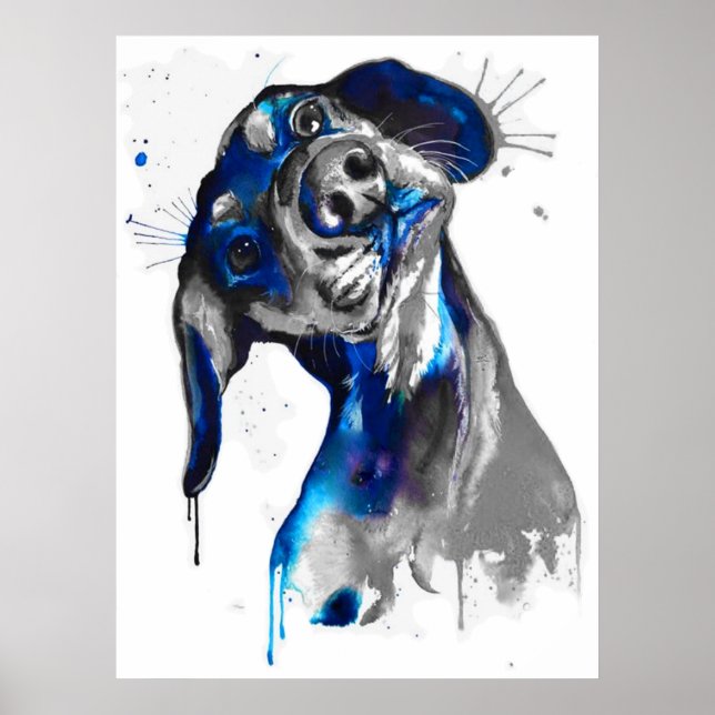Póster Cão em Azul (Frente)