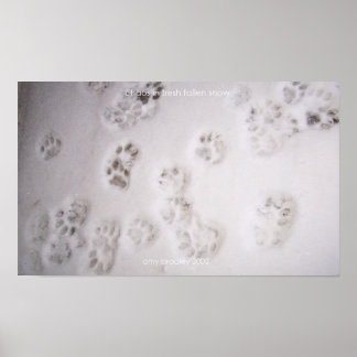 Póster caos en la nieve recién caída