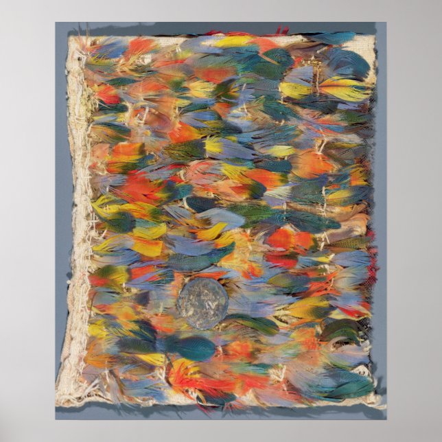 Póster Capa de plumas (Frente)