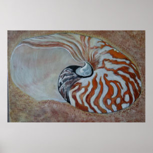 Póster caparazón marino nautilus