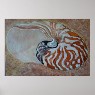 Póster caparazón marino nautilus