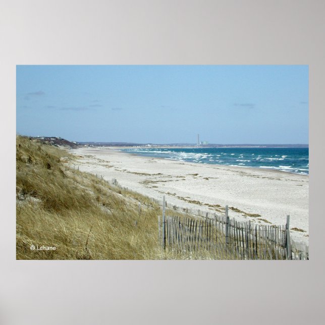 Póster Cape Cod Beach (Frente)