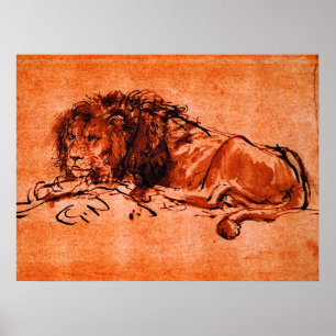 Póster CAPE LEÓN ACOSTADO por Rembrandt Naranja Negro 