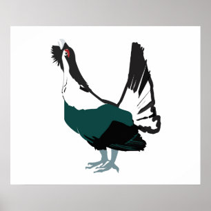 Póster Capercaillie bird Art Value Poster Paper (Matte)