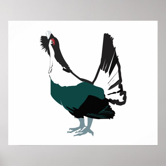 Póster Capercaillie bird  Art  Value Poster Paper (Matte) (Frente)