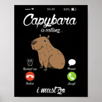 Capibara Llama A Capibara Rodent Animal Lover