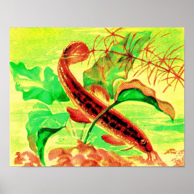 Póster capilar (Frente)