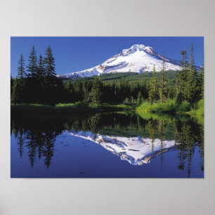 Póster Capilla del soporte, Oregon