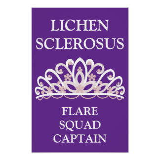 Póster Capitán del Escuadrón de Flares de Conciencia sobr