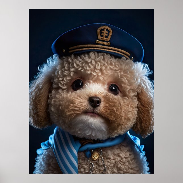 Póster Capitán del programa piloto (Frente)