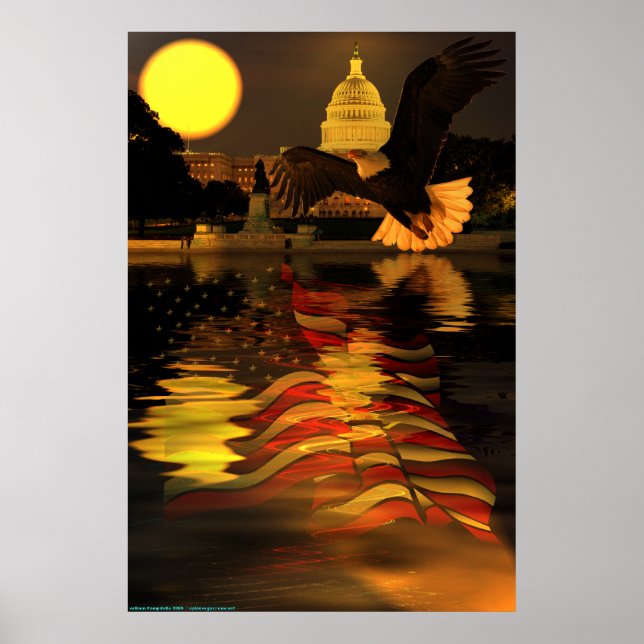 Póster Capitol-Eagle-Flag-W-O-Sun-ray-set-2 (Frente)