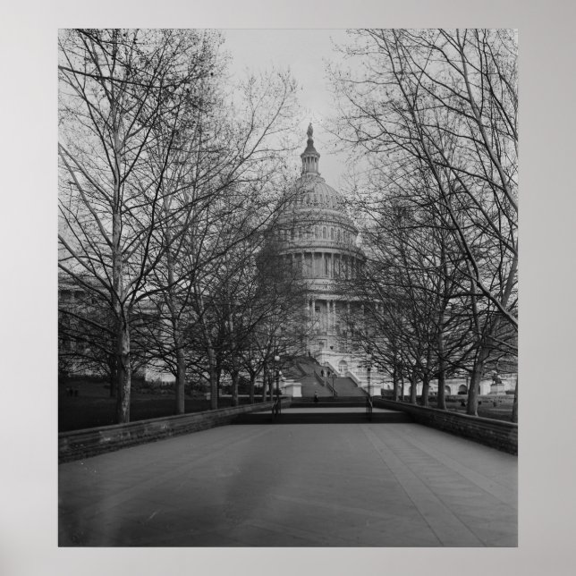 Póster Capitolio de Estados Unidos (Frente)