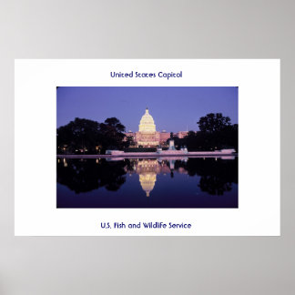 Póster Capitolio de Estados Unidos