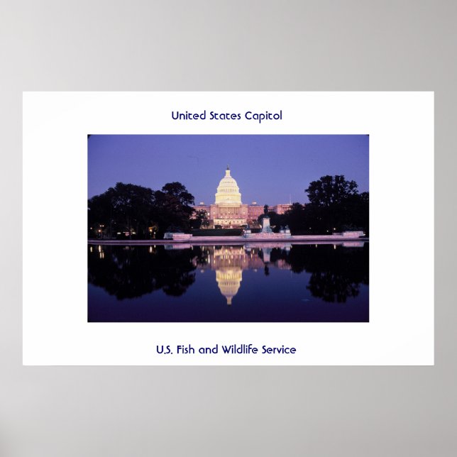 Póster Capitolio de Estados Unidos (Frente)