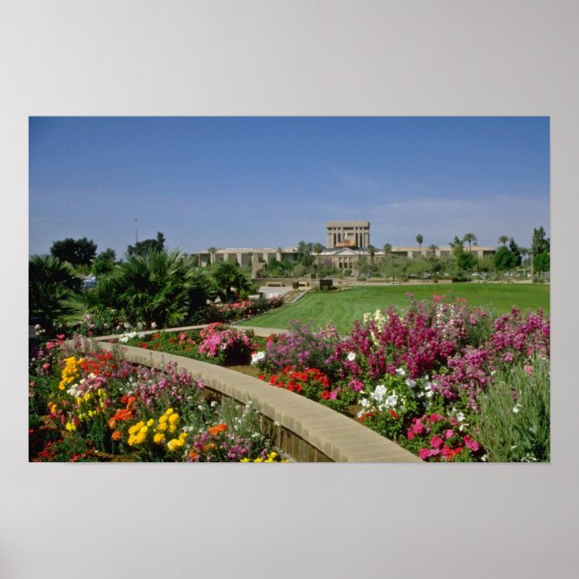 Póster Capitolio estatal rosa, jardines florales, Phoenix (Frente)